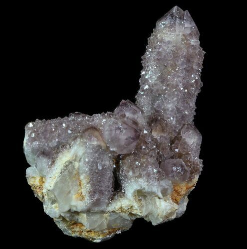 Cactus Quartz (Amethyst) Crystal Cluster - South Africa #64222